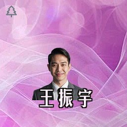 王振宇